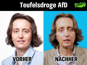 20160125_AfD_Storch